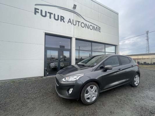 FORD FIESTA 1.0 ECOBOOST 95 CONNECT BUSINESS